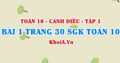 Bài 1 trang 30 SGK Toán 10 tập 1 Cánh Diều